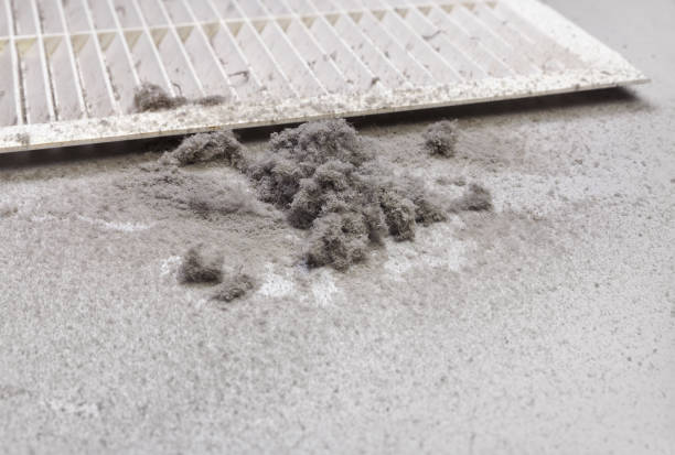 Best Local Air Duct Cleaning Services  in Mount Morris, MI