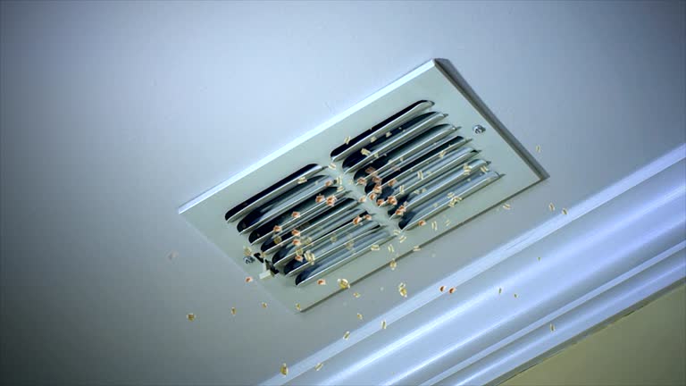Best HVAC Air Duct Cleaning  in Mount Morris, MI