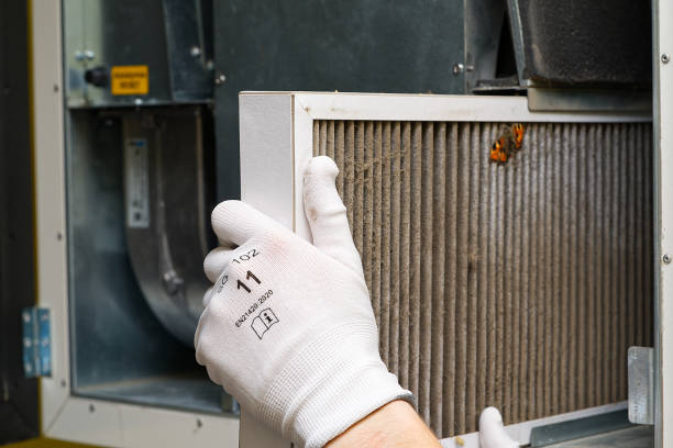 Best Commercial Air Duct Cleaning  in Mount Morris, MI