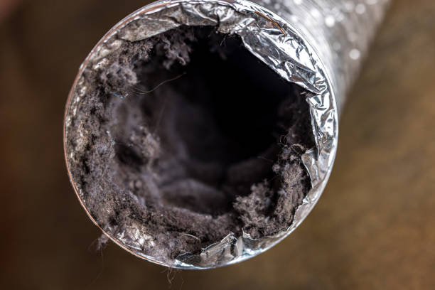Best Air Duct Cleaning Cost  in Mount Morris, MI